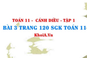 Bài 3 trang 120 SGK Toán 11 tập 1 Cánh Diều